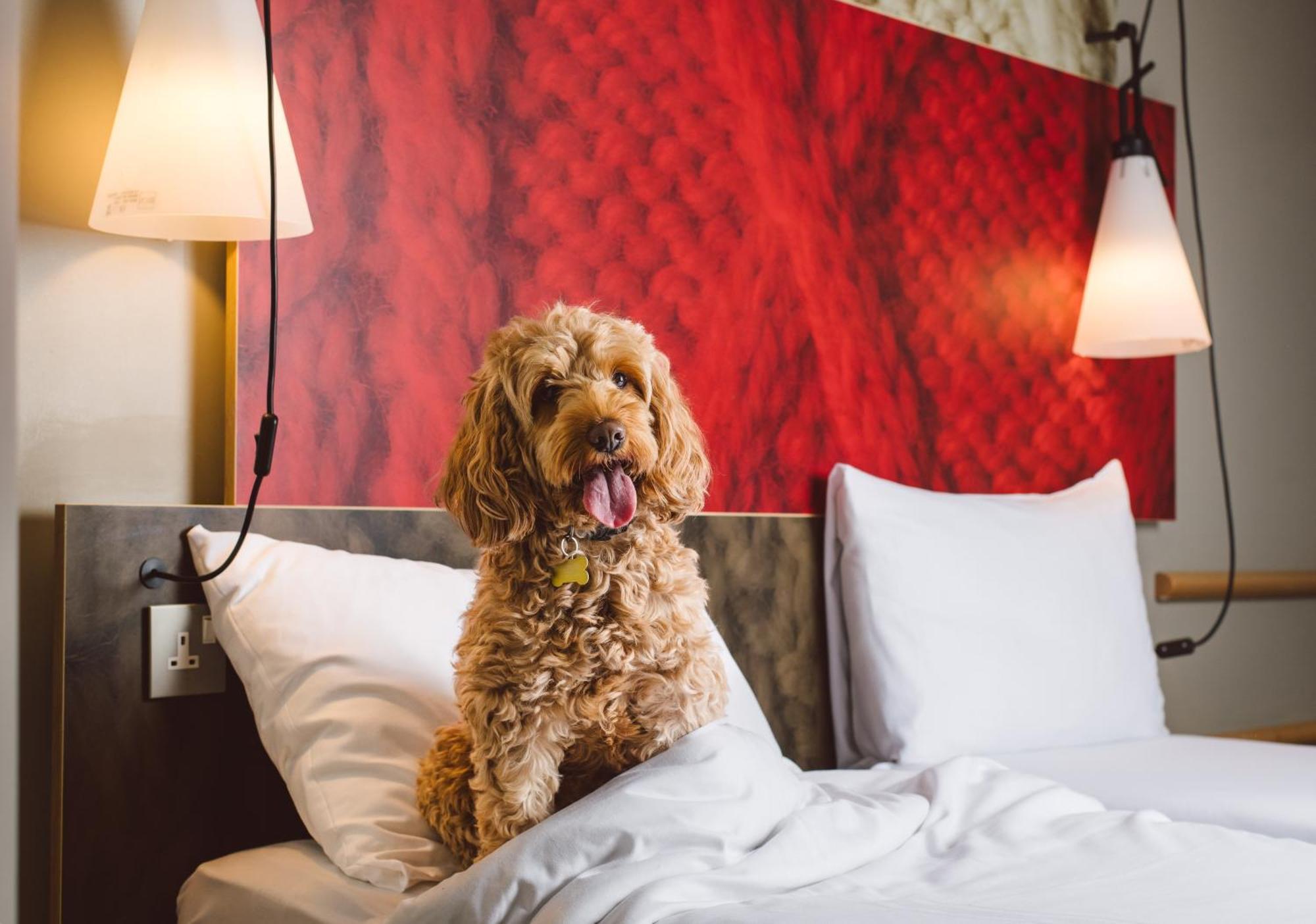 Ibis Excel-docklands London