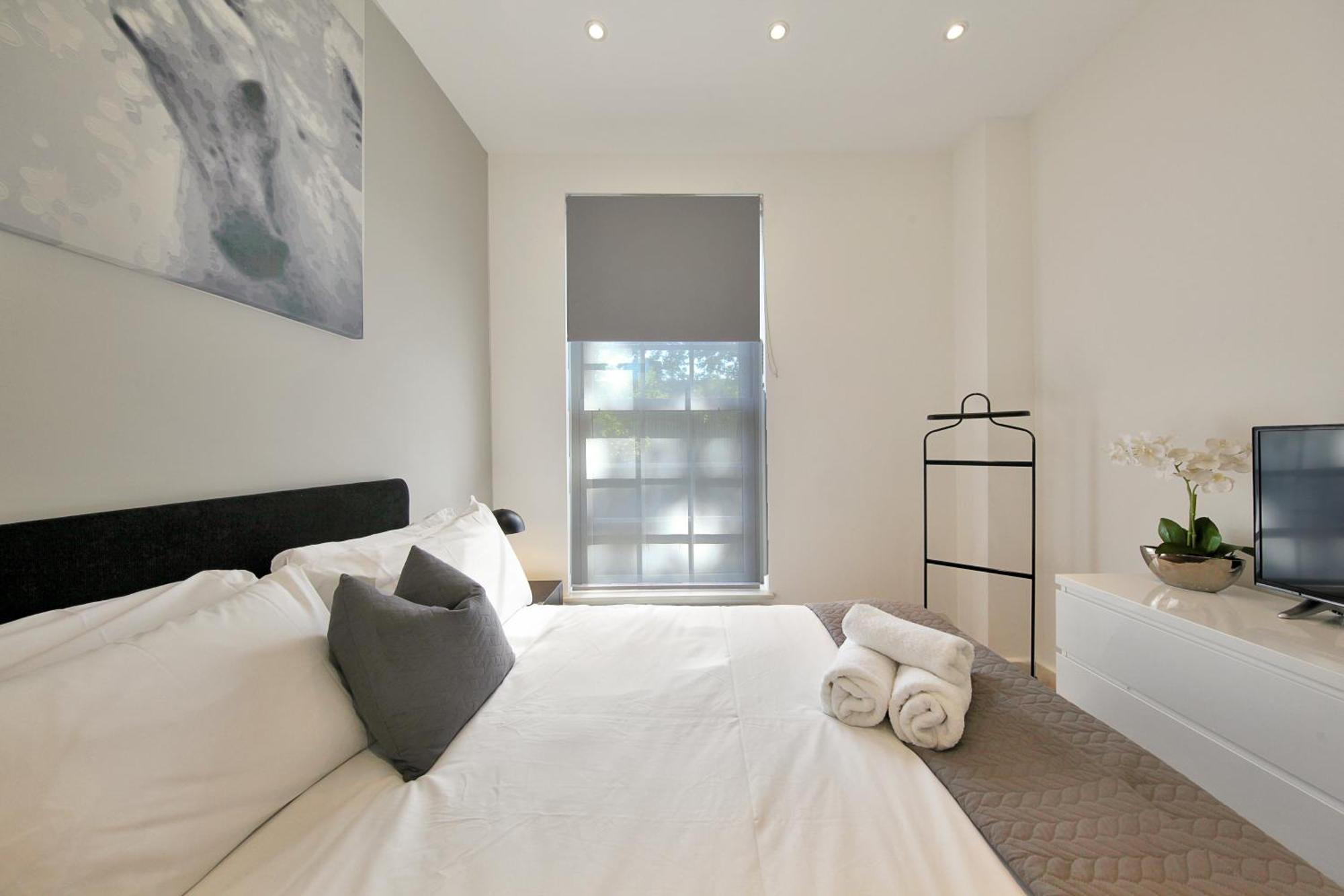 Executive In Euston Free Wifi Aparts Apartment London